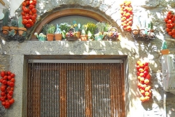 images/chios mesta 6.jpg